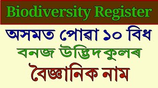 অসমৰ ১০ বিধ বনজ উদ্ভিদকুলৰ বৈজ্ঞানিক নাম  Biodiversity Register  Youth and Eco Club [upl. by Anits54]