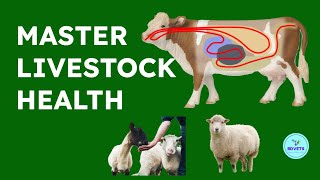 🐄 Understanding Livestock Diseases A Comprehensive Guide 🐖 [upl. by Areek195]