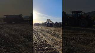 🤩🤤2Case IH Optum and Holmer🤤🤩 case holmer agro agriculture shortvideo shorts [upl. by Aleen561]