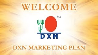 DXN Marketing Plan Hindi Version [upl. by Einttirb971]