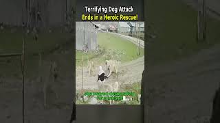 Terrifying Dog Attack Ends in a Heroic Rescue [upl. by Uba]