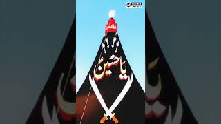 amazingfacts history factsinhindi interestingfacts karbala story shortvideo lacture horse [upl. by Kilbride]