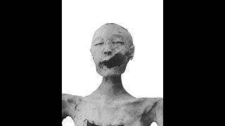 The Face of the Younger Lady Mummy KV35 Digital Photoshop Reconstruction [upl. by Ardeid]