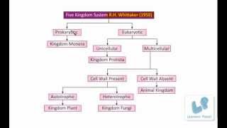 Classification of Living OrganismsFive Kingdom System protista monera fungi plant animals [upl. by Namyaw]