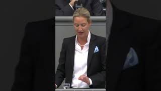 Deutschland versucht mit einer irrationalen Idee zu überleben afd aliceweidel [upl. by Anneis]