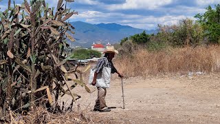 quotLa gente cuenta que ven a mis abuelos en la hacienda por las noches quotTío Abel [upl. by Marla]