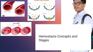 Hemostasis Physiology  Concepts and Mechanisms [upl. by Farnsworth366]