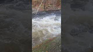 Brooks Falls in Emsdale Ontario waterfall relaxing asmr [upl. by Nandor]