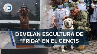 Perrita Frida es inmortalizada con estatua en CdMx… incluye sus botitas y goggles [upl. by Ecienal]