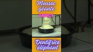 Chimie récréative Tensioactif et mousse géante Dentifrice pour éléphantTensioactifséducation [upl. by Avle562]