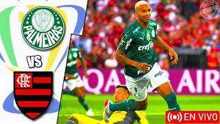 Palmeiras vs Flamengo en vivo  Copa Brasil [upl. by Etnoid]