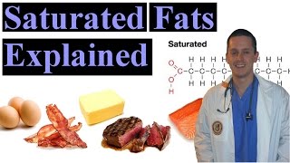 Saturated Fat Explained Made Easy to Understand [upl. by Dnob603]