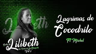 Lagrimas de Cocodrilo Audio Oficial  Lilibeth ft Michel [upl. by Ahsoik]