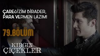 Kırgın Çiçekler 79Bölüm  Güney Mert’ten para istiyor [upl. by Naedan]