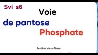 Biochimie métabolique s6 svi  Voie de pantose phosphat [upl. by Campagna]