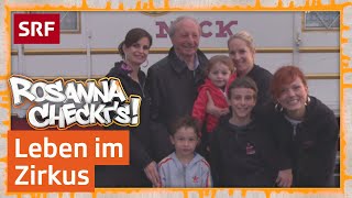 Wie lebt ein Zirkuskind  Rosanna checkt’s  SRF Kids – Kindervideos [upl. by Nesiaj]