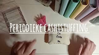 budget with me periodieke cashtstuffing even wat mapjes vullen en weer een brainfart krijgen [upl. by Ellinej942]