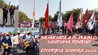 Fiestas de la Santísima Trinidad en Etchojoa Sonora 2022 Etnia MAYO [upl. by Nodanrb765]