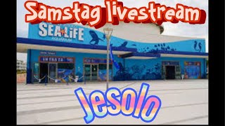 Livestream Sea Life Jesolo [upl. by Mhoj977]