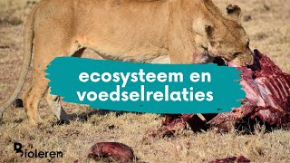 Bioleren  ecosysteem en voedselrelaties [upl. by Remliw533]