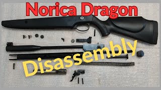 Disassembly Desmontar Norica Dragon [upl. by Akerdal27]