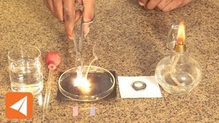 Magnesium Oxide and water Acids amp Bases  Chemistry [upl. by Aleiram]