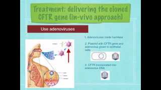 A level R7 Cystic fibrosis and gene therapy Ms Cooper [upl. by Janet]