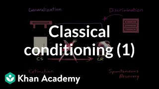 Classical conditioning Extinction spontaneous recovery generalization discrimination [upl. by Henriha549]