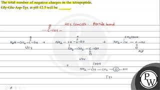 The total number of negative charges in the tetrapeptide GlyGluAspTyr at pH 125 will be [upl. by Joe123]