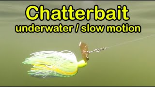 Chatterbait fishing lure underwater slow motion SHORTS [upl. by Leonerd160]