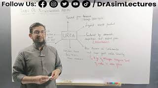 Biology of Urea [upl. by Ramal]