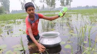 Exploring Traditional Fish Traps  Hook Fishing in Serene Waters [upl. by Garibald]