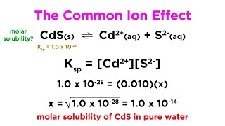 The Common Ion Effect [upl. by Lirpa]