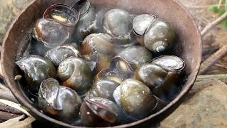 wowcatch Snails by girl in river  Cooking Snails for Eating delicious 02 [upl. by Mikiso]