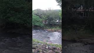 Natural water streaming sounds youtubeshorts [upl. by Awe618]