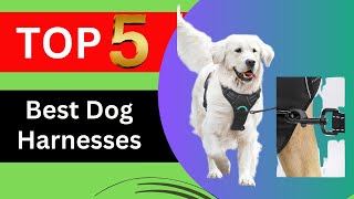 Top 5 Best Dog Harnesses of 2024  Dog Harness Review [upl. by Ylrebmic]