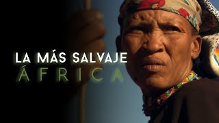 África más salvaje  Sáhara la vida al límite [upl. by Harad]