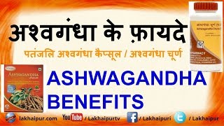 Benefits of Ashwagandha  अश्वगंधा के फ़ायदे  Patanjali Ashwagandha Review [upl. by Dempster25]