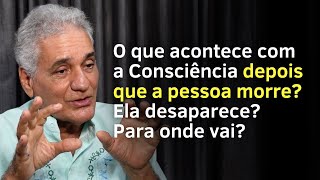 A Consciência Reencarna Quem ou O Que Reencarna  Satsang com Alexandre Magno [upl. by Aicemaj]