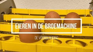 Eieren in de broedmachine leggen [upl. by Camden428]