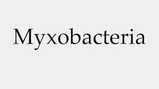 How to Pronounce Myxobacteria [upl. by Toille38]