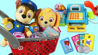 Target Shopping Haul With Paw Patrol Skye amp Chase [upl. by Enyawed]