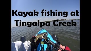 Tingalpa Creek flathead fishing [upl. by Mcleroy]