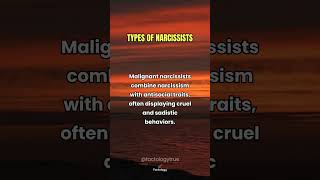 The Different Types of Narcissists Explained 🧠 [upl. by Essirahs216]