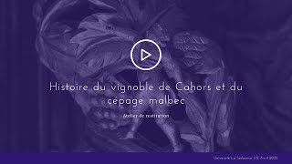 Histoire du vignoble de Cahors et du cépage Malbec [upl. by Ecnerrat]