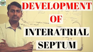 DEVELOPMENT OF INTERATRIAL SEPTUM [upl. by Cordula552]