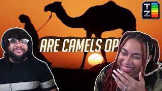 Are Camels OP  Tier Zoo Reaction [upl. by Dorey]