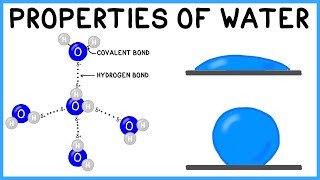 Properties of Water [upl. by Narcissus818]