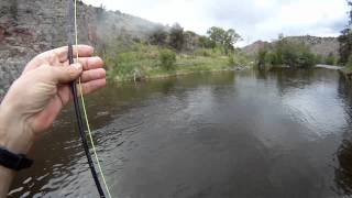 Fly Fishing  3Wt Rod [upl. by Dennison241]