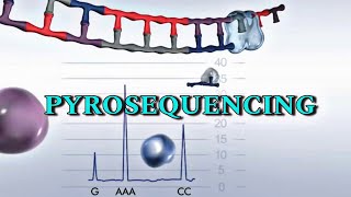 Pyrosequencing  Detail video in Hindi [upl. by Eiggep]